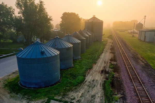 Karacabey’de Süt Çiftlikleri İçin Üretim ve Muhasebe Takibi